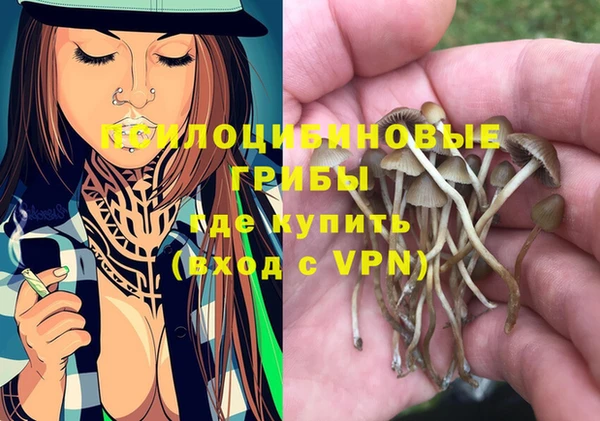 Альфа ПВП Майский