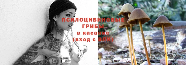 Альфа ПВП Майский