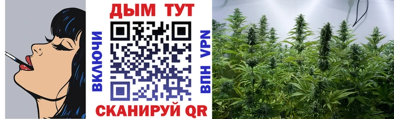 Шишки марихуана семена Купить где Мелеуз